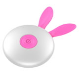 Capsula Vibratoria com 10 Funções de Vibração Recarregável com Controle Remoto - Vibrating Egg -